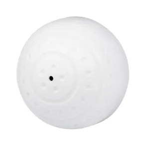 Ball DVR Mic - White