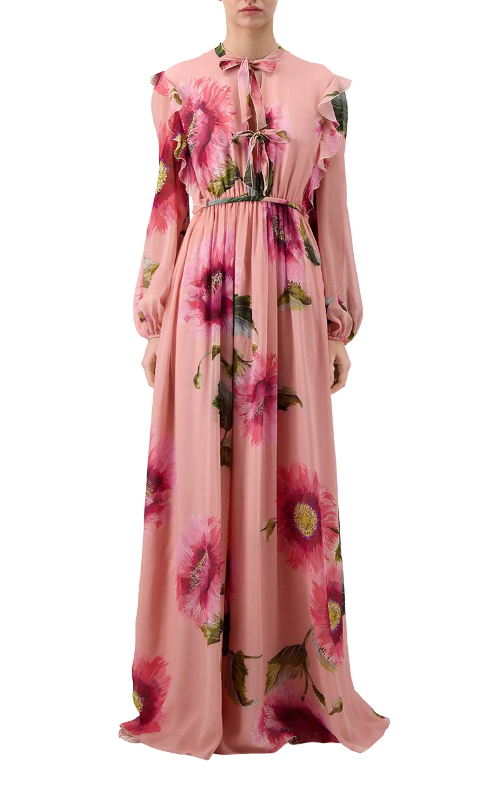 Botanic Blow Up-print Silk Georgette Gown