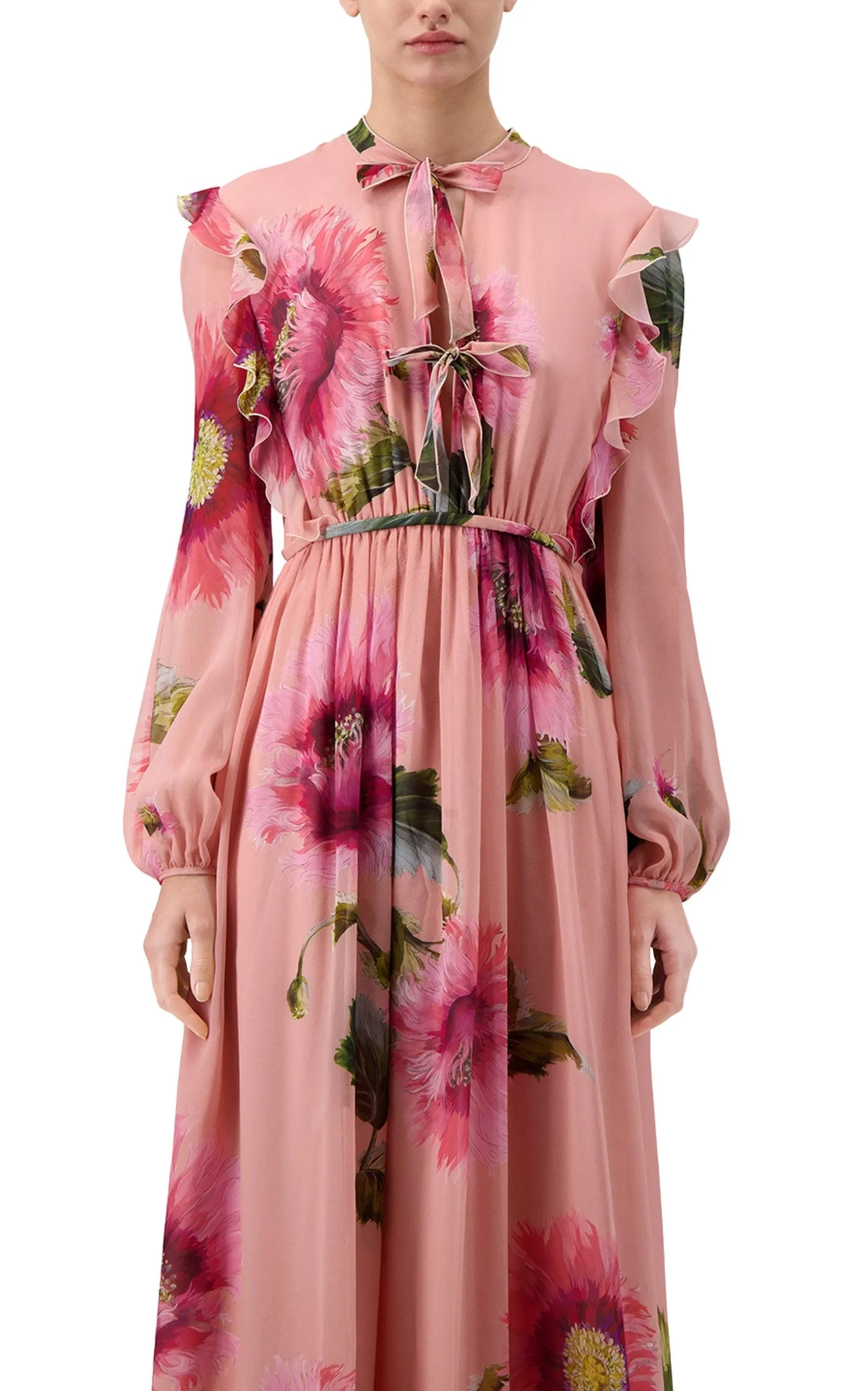 Botanic Blow Up-print Silk Georgette Gown