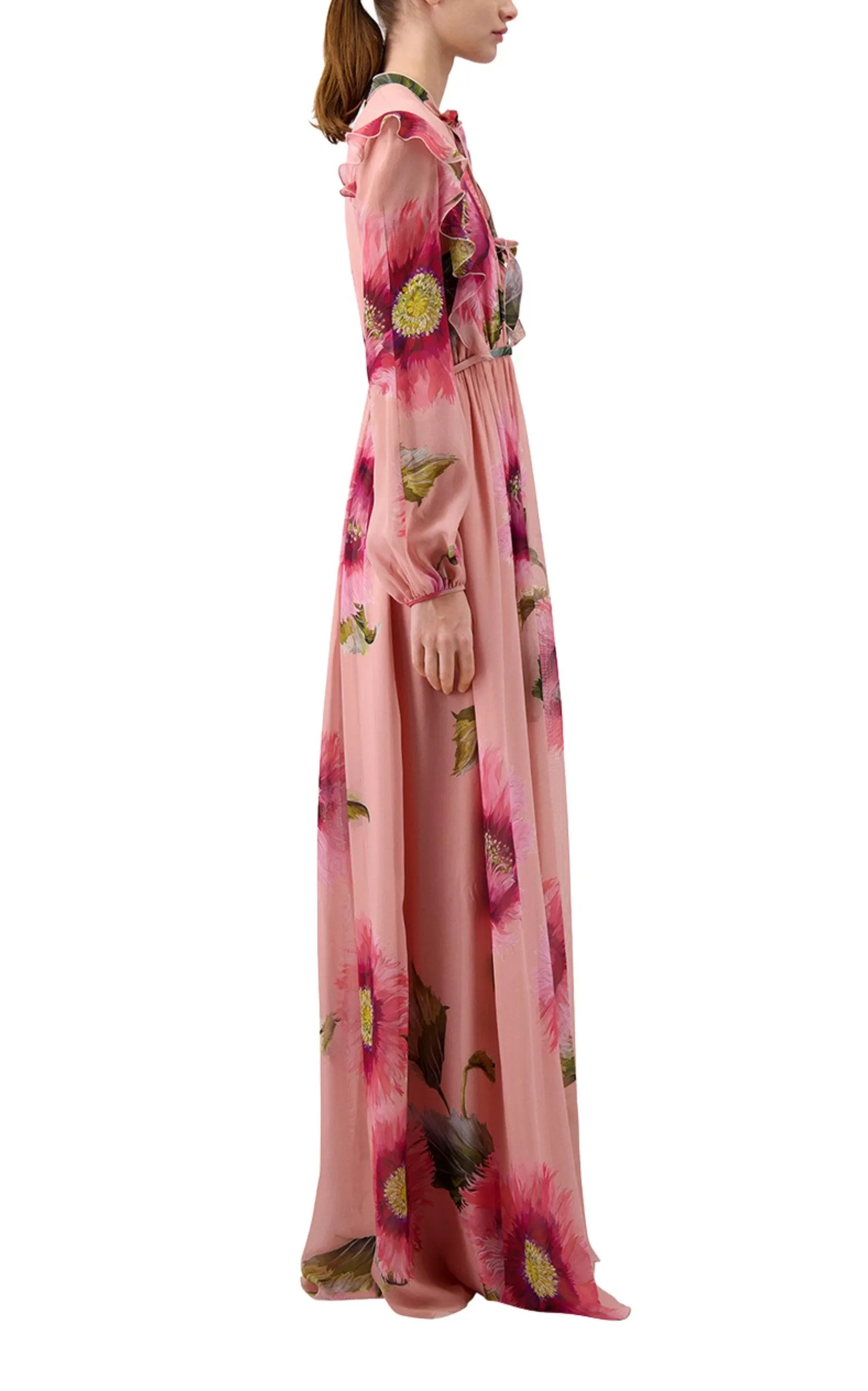 Botanic Blow Up-print Silk Georgette Gown