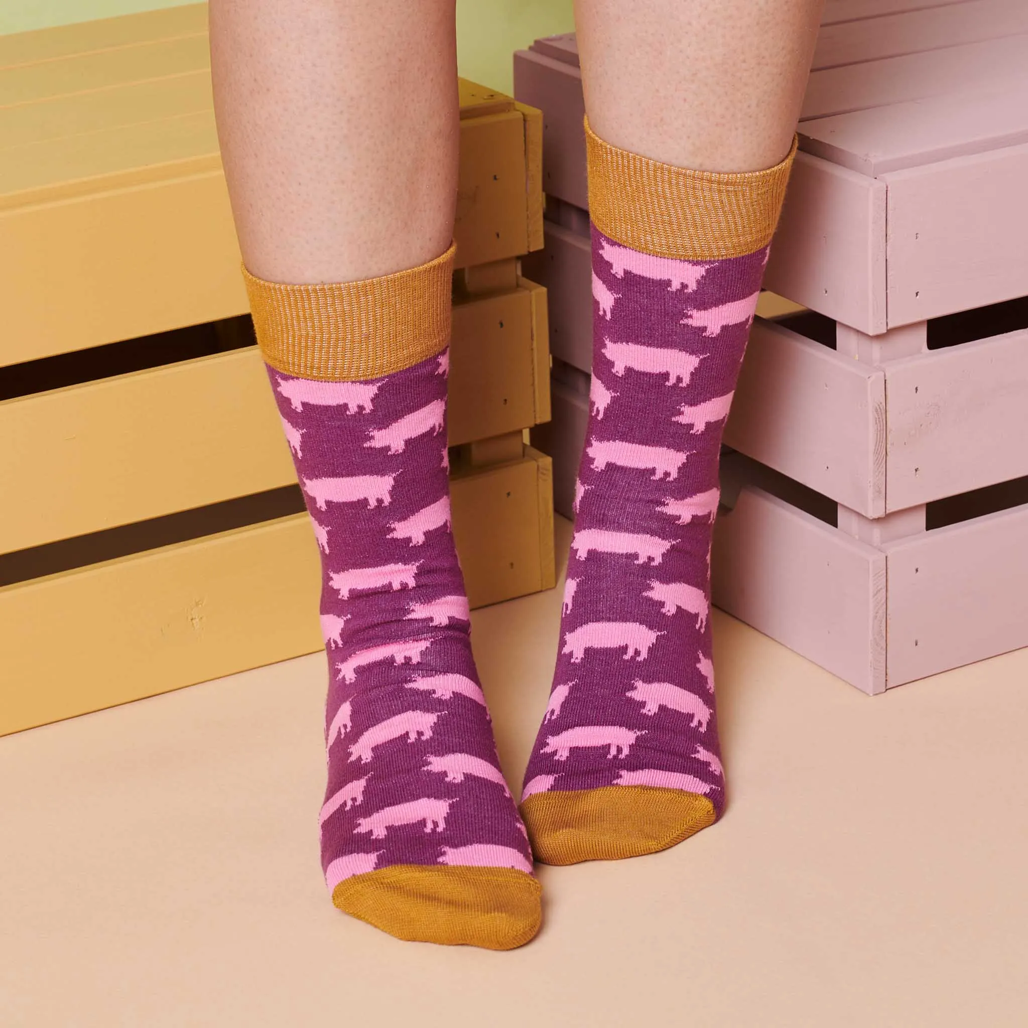 Ladies Plum Pigs Organic Cotton Ankle Socks