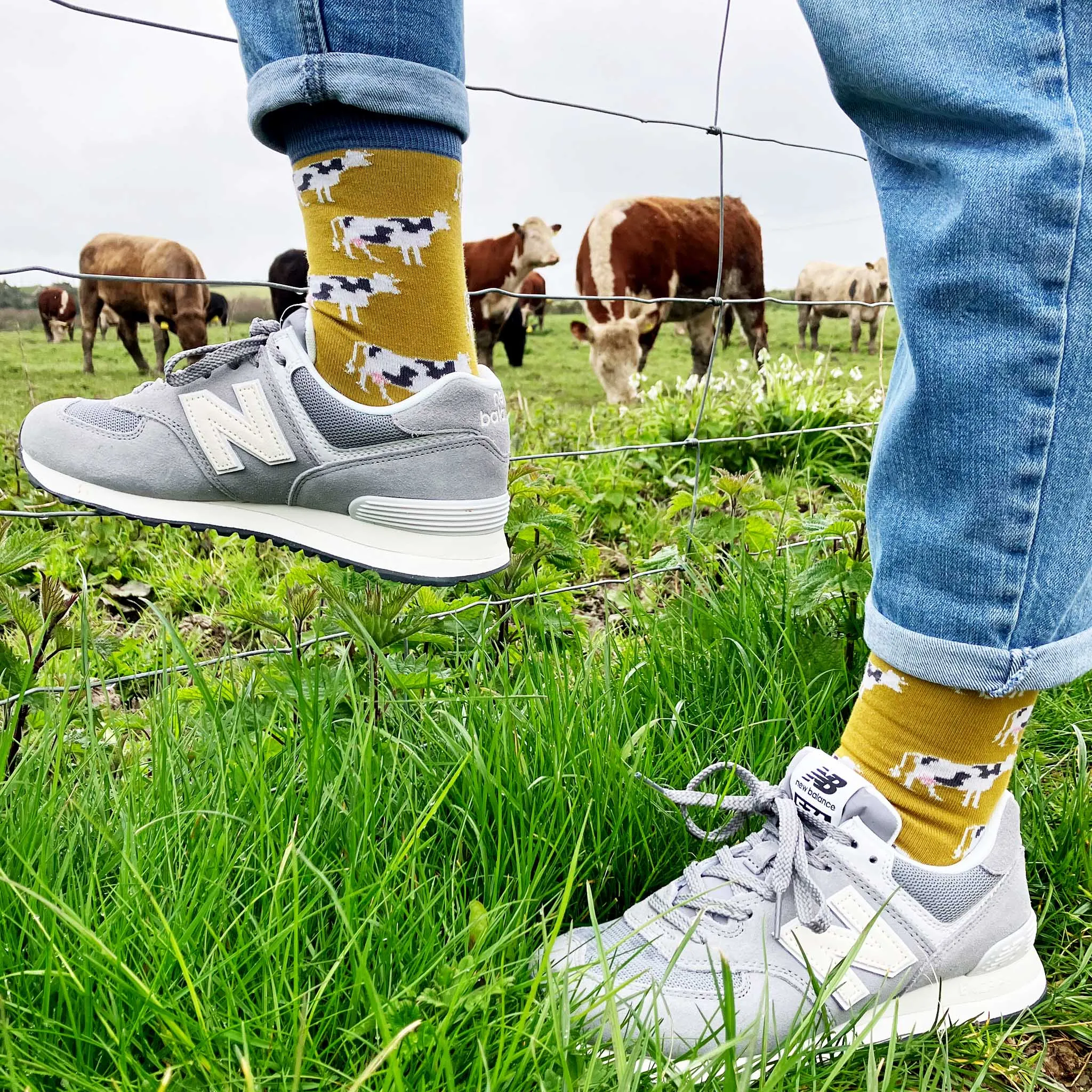 Ladies Yellow Cow Organic Cotton Ankle Socks