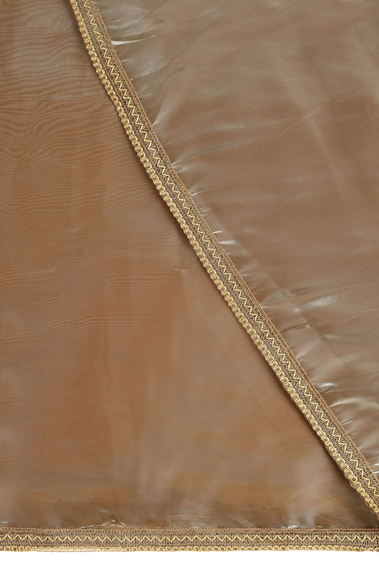 Teejh Bronze Blossom Tissue Saree