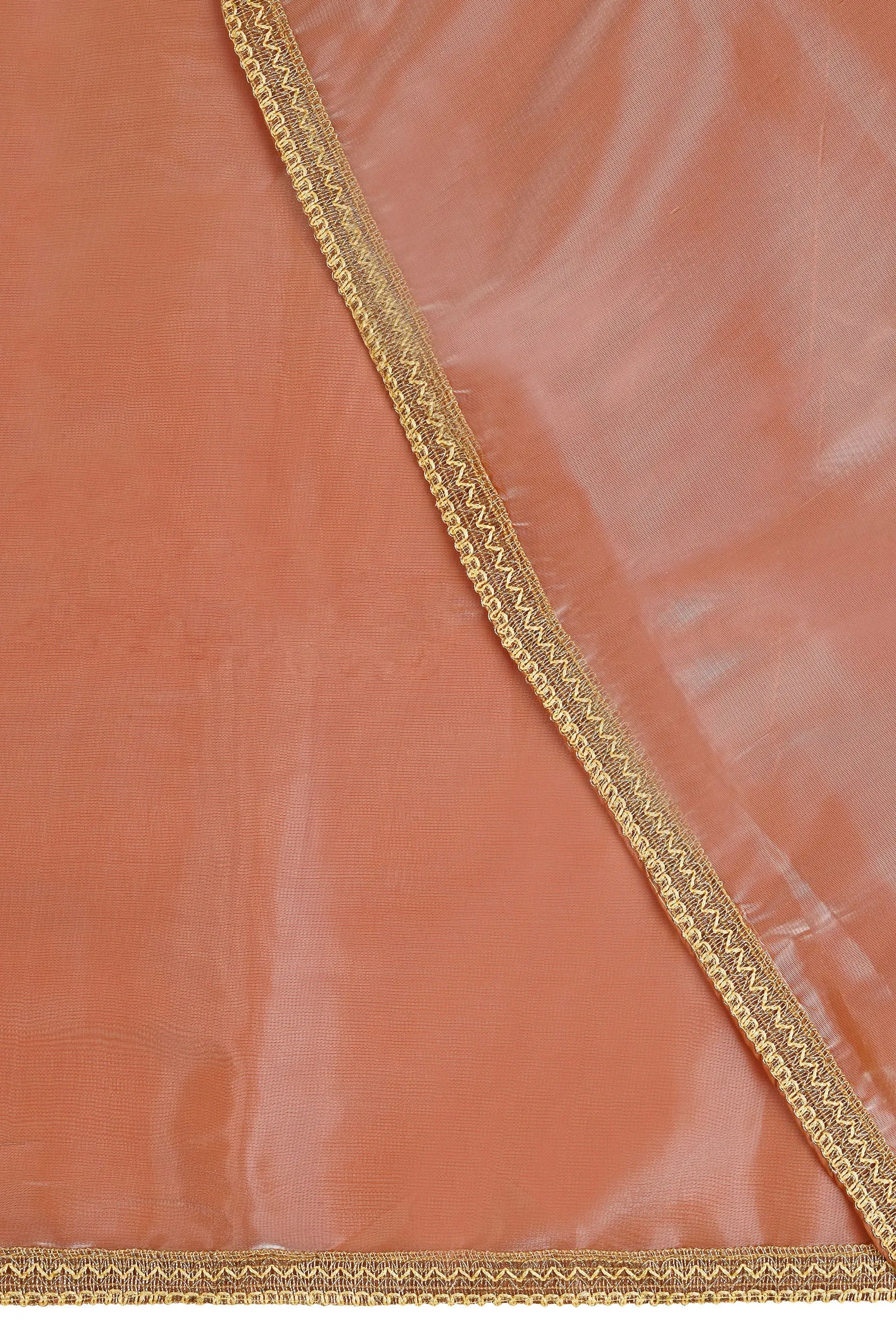 Teejh Coral Cascade Tissue Saree