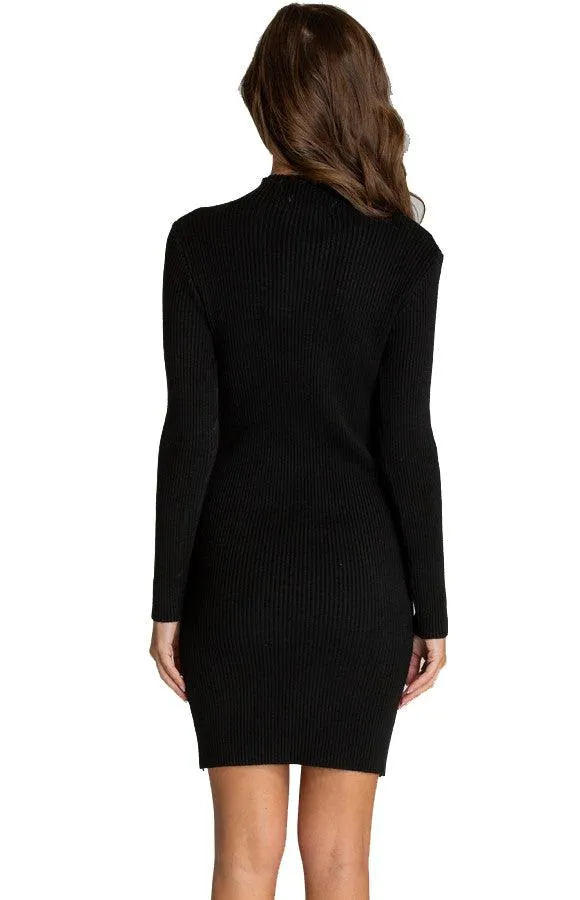 Women’s Black Fitted Knit Sweater Pullover Dress